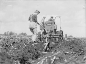 Members of the WLA help a farmer to plough reclaimed fenland in Cambridgeshire. The deep digger plough and International tractor being used are ploughing 15 inches deep. Source: IWM D 8455