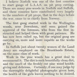 Accompanying text on the Timber Corps in Norfolk. Source: Cropped article from The Landswoman, February 1918, p25