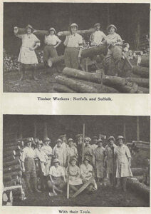 Photographs of Timber Corps in Norfolk. Source: The Landswoman, February 1918, page 26.
