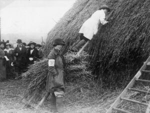 Members of the Women's Land Army thatch a haystack in 1914. Source: IWM Q 54604.
