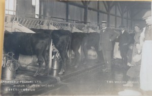 Milking at Barford and Perkins Ltd, Queen St Iron Works, Peterborough