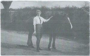 Land girl Dorothy Brown, The Grange, Gunthorpe, Peterborough c1916 grooming horse