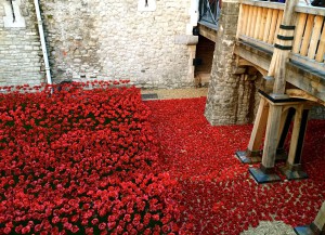 Blood Swept Lands and Seas of Red at the Tower of London. November 2014.