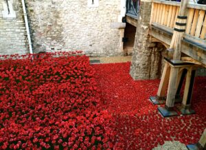 Blood Swept Lands and Seas of Red at the Tower of London. November 2014.