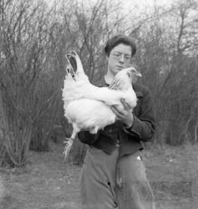 Land Girl and chicken