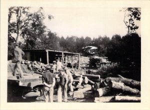 Timber yard and part of sawmill at Haley's Mill, Cirencester. Max in cap in front of lorry.