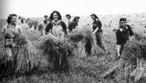 Stooking the sheaves in Buckinghamshire 2, summer 1944