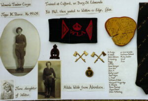 A selection of items from Joy's time in the Women's Timber Corps.