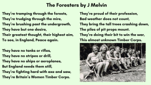 The-Foresters