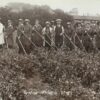 First World War Land Girls in Gretna